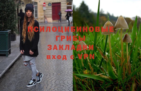 крисы Беломорск